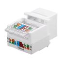 Dado RJ45 CAT6 T568A/B Keystone