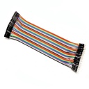 Paquete Cable Dupont M-H 20cm