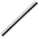 Tira Dil Macho 40 Pines Color Negro